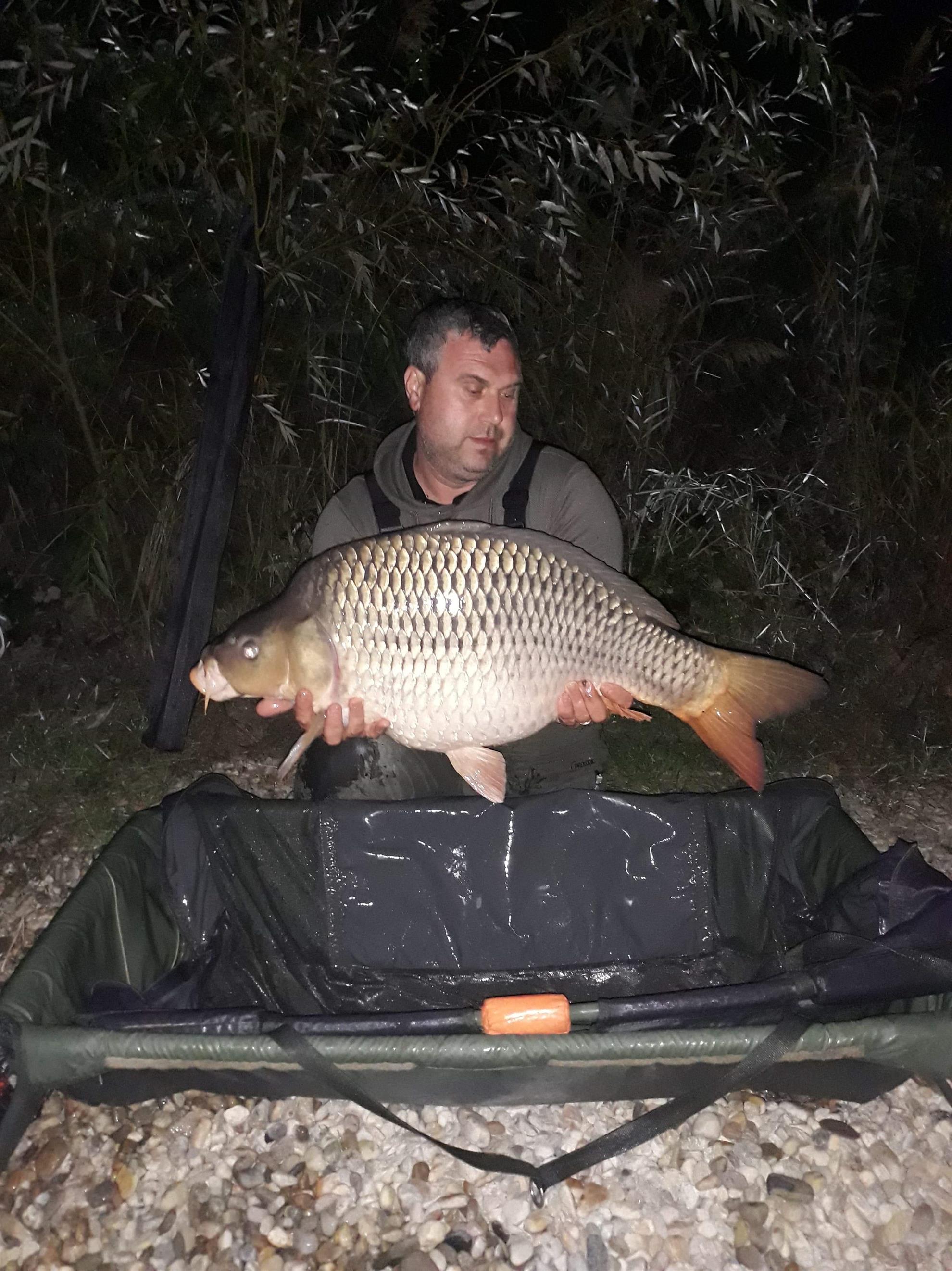 Varlaam 2018 oct - received735250186827424.jpeg